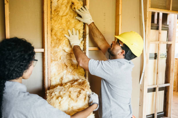 Professional Insulation in Thorsby, AL